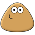 Pou